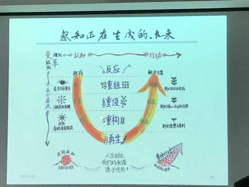 1495013864103965.jpg