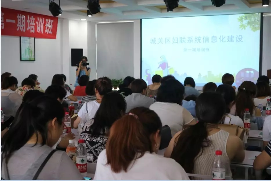 领新网络