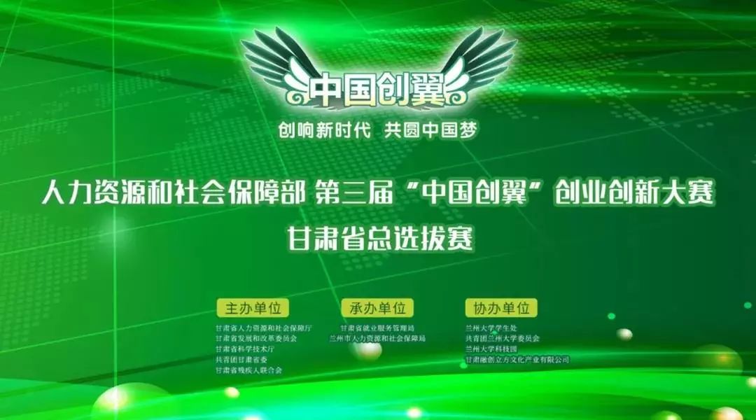 领新网络